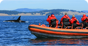 Shopping in Egypt: Best Souvenirs and Where to Buy Them