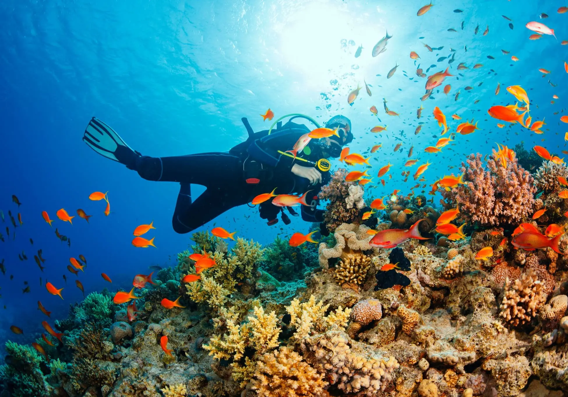 Egypt Red Sea Vacations